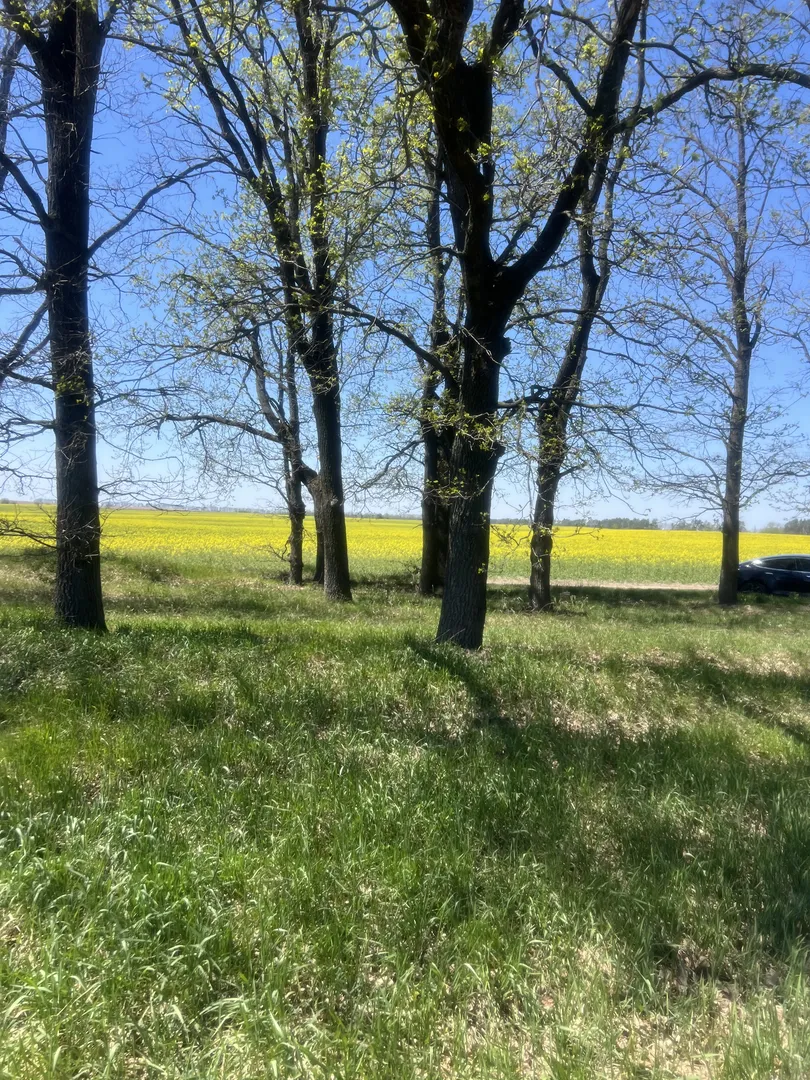 Продаж 6 соток 