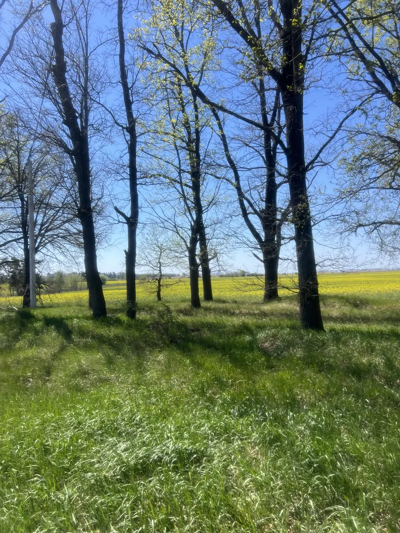 Продаж 6 соток 