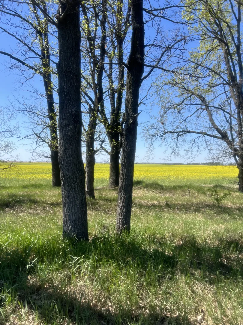 Продаж 6 соток 