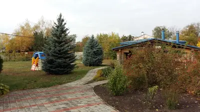 Продаж земельної ділянки 1,2 га — мініатюра фото 7