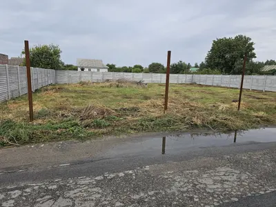 Продаж земельної ділянки біля лісу — мініатюра фото 4