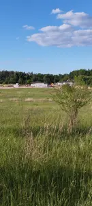Приватизована земельна ділянка 17 соток  — мініатюра фото 2